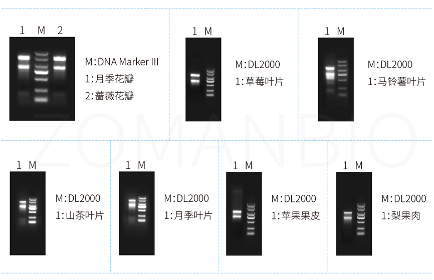 ZP411C 官網用圖.jpg