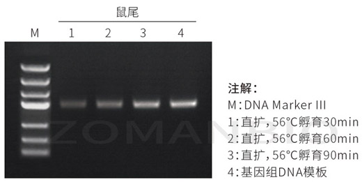 22.9.29 動物直擴圖.jpg