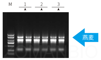 23 ZP401圖1.jpg 圖片