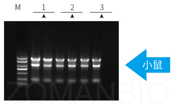 23 ZP401圖2.jpg 圖片