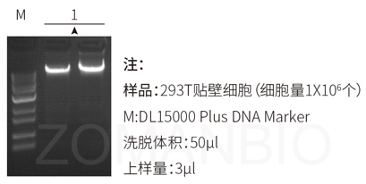 23 ZP332圖2.jpg 圖片