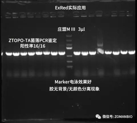 22.6 EB與red區分圖2.jpg 圖片